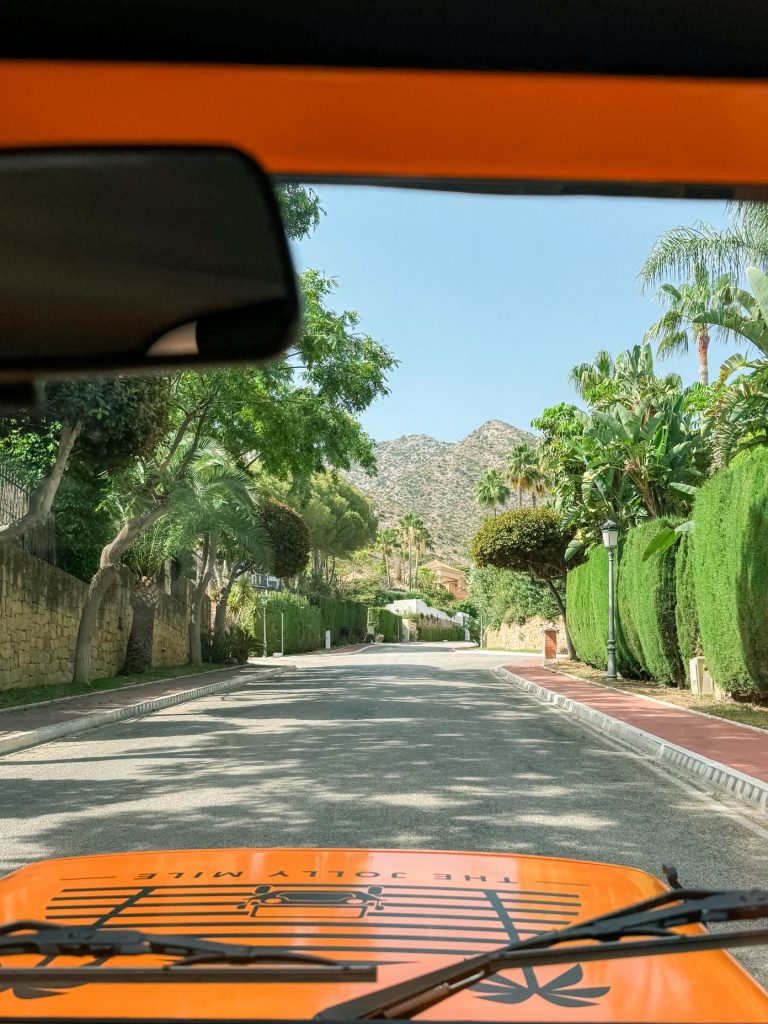 Sierra Blanca Marbella