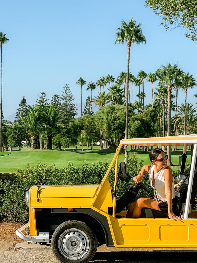 Electric Moke