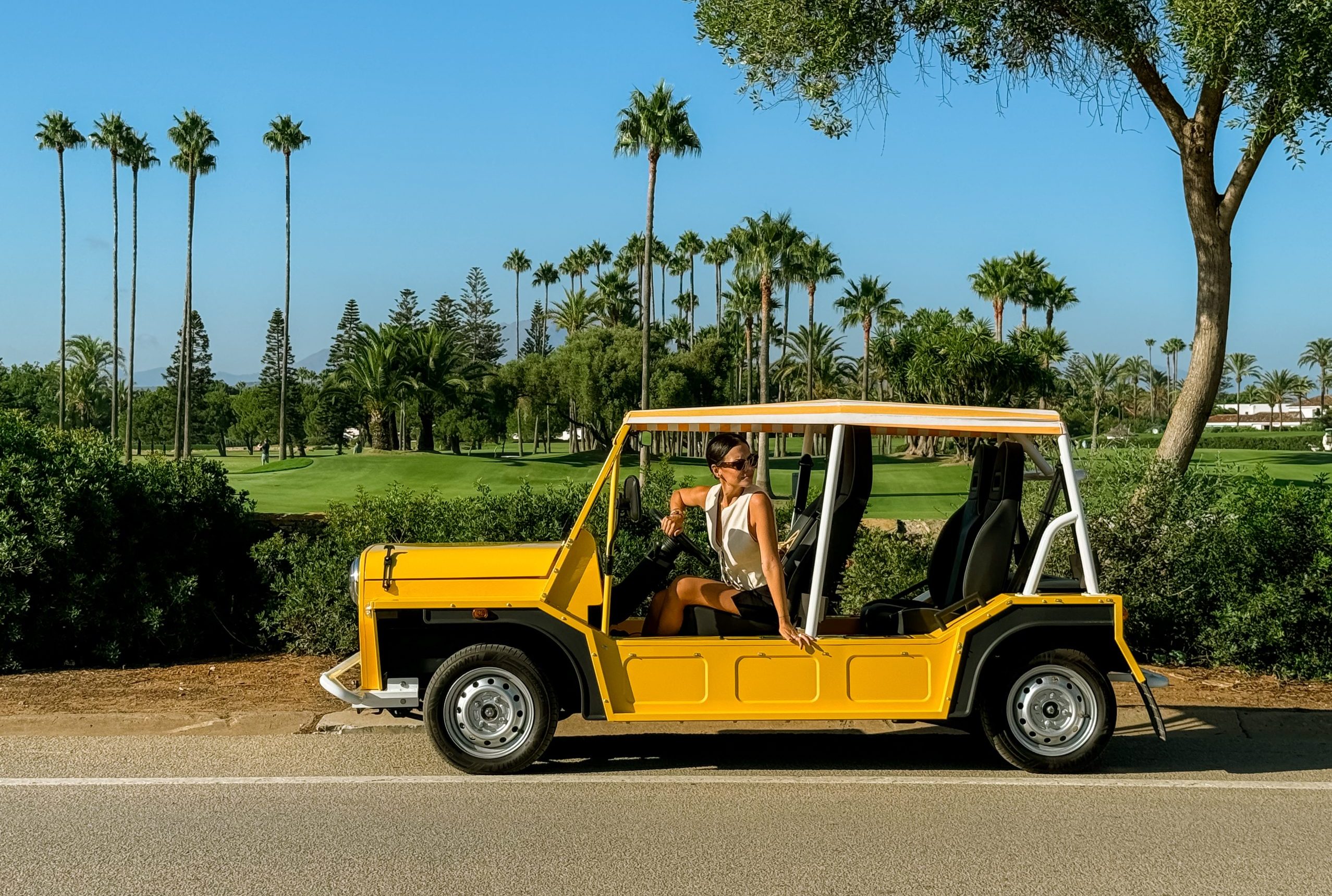 Electric Moke